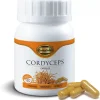 Cordyceps mushroom capsules