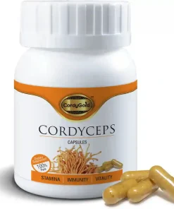 Cordyceps mushroom capsules
