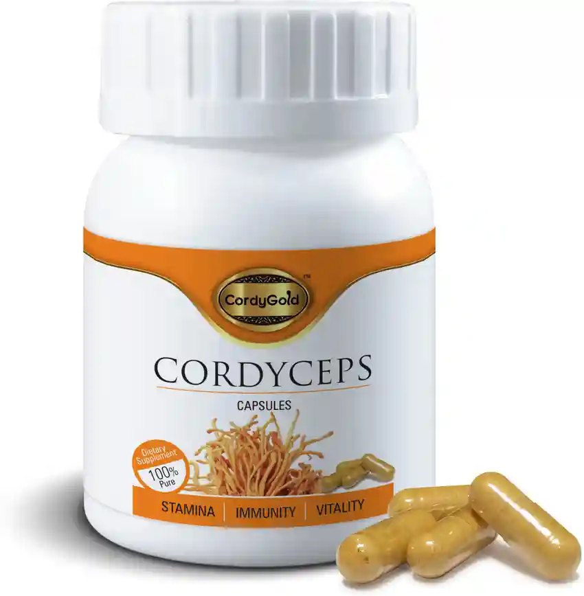 Cordyceps mushroom capsules