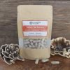 Turkey Tail Mushroom capsules