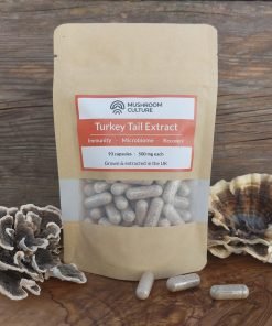 Turkey Tail Mushroom capsules
