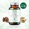 Chaga Mushroom Capsules