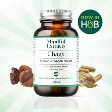 Chaga Mushroom Capsules
