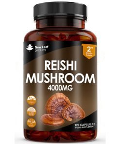 reishi mushroom capsules